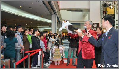 Visitors enjoying the show